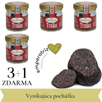 3+1 zdarma Lanýž černá...