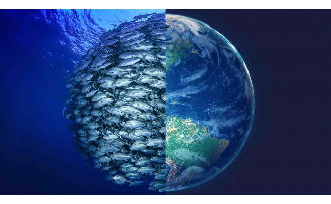Když se staráme o své oceány, oceány se starají o nás.